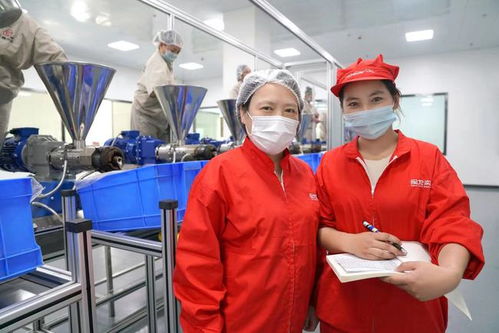 在戈壁灘上揮寫 脫貧答卷 的上海 沙漠玫瑰