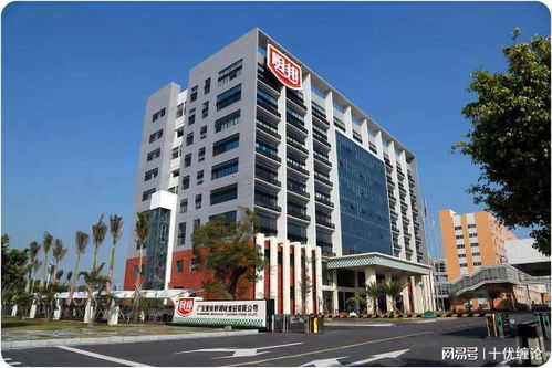 十優纏論 中炬高新 sh600872 纏論技術分析