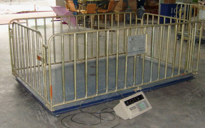 養雞場5T家禽稱重秤工廠直銷-產品報價-上海實干實業